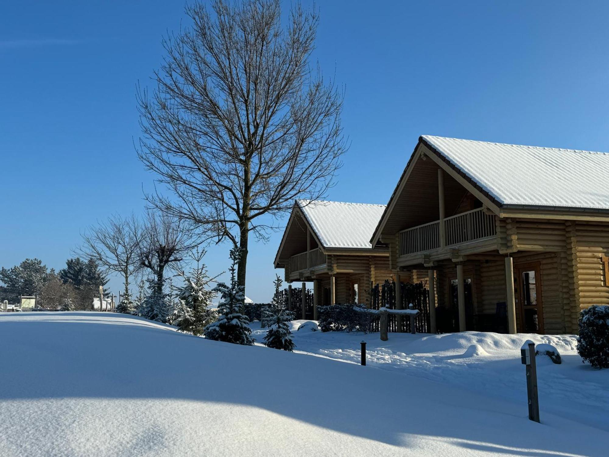 Boomstamhuis High Chaparral Oirsbeek ภายนอก รูปภาพ